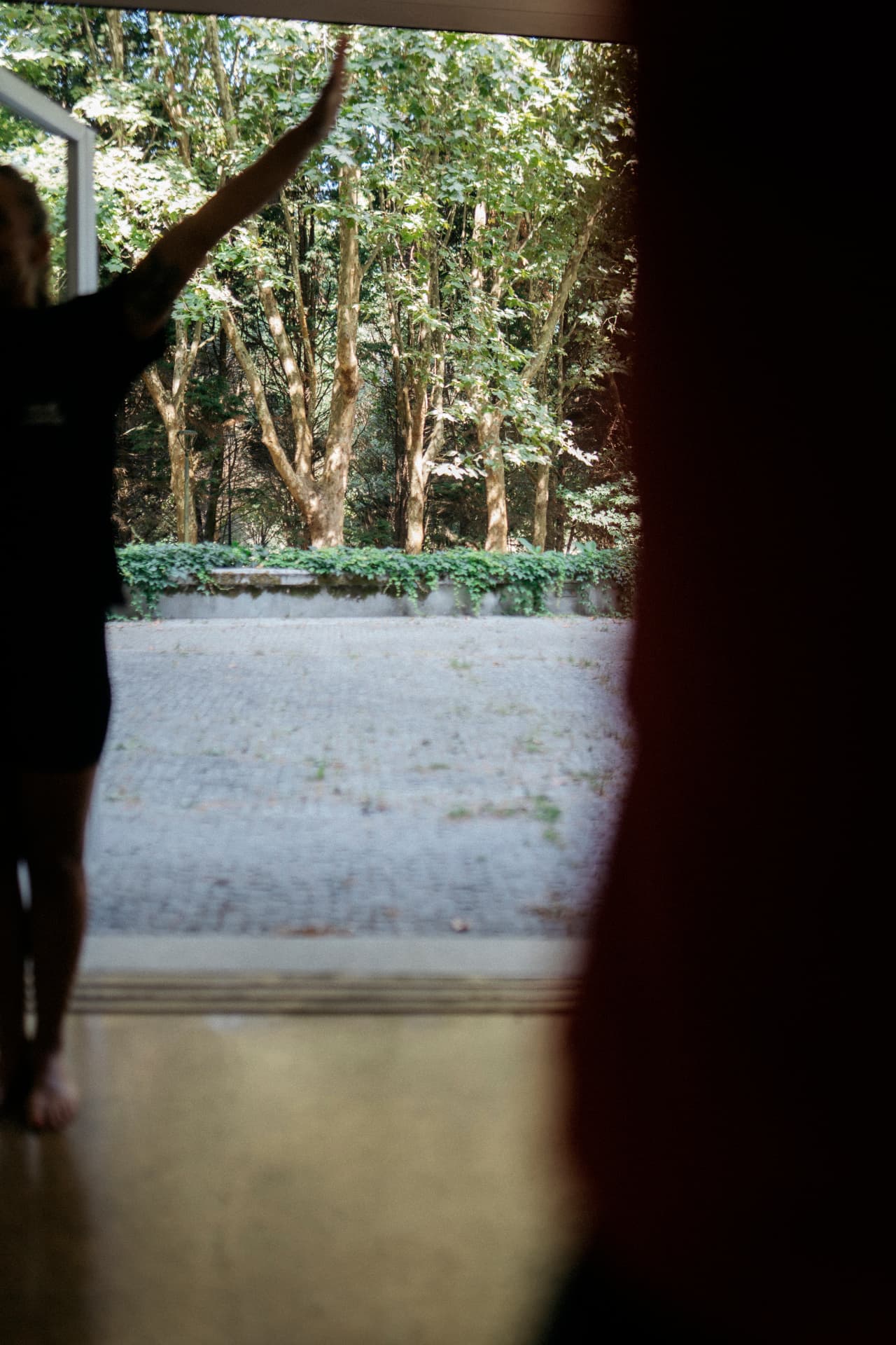Vista da sala de Yoga aberta para o jardim e as árvores do parque