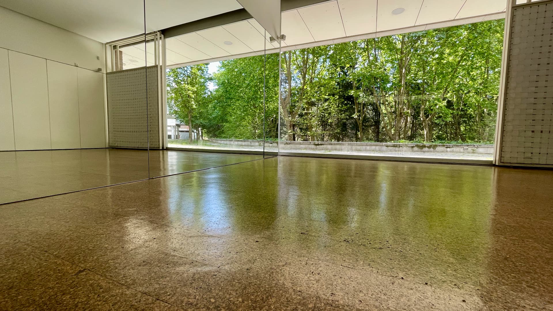 Sala ampla e luminosa do estúdio, com vista para as árvores do parque